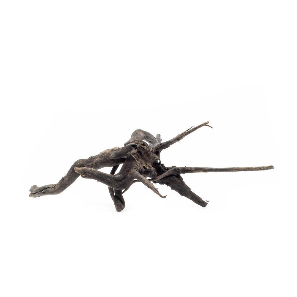 Black Forest Spiderwood