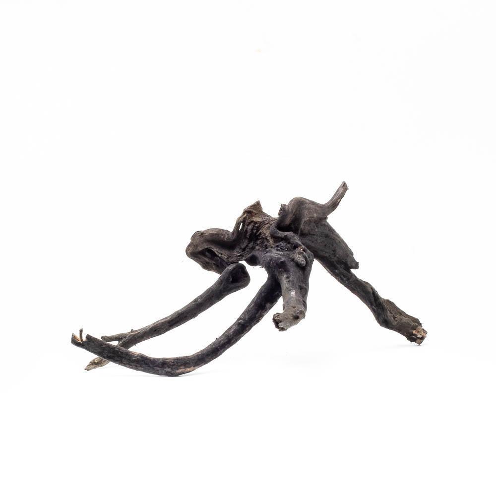Black Forest Spiderwood