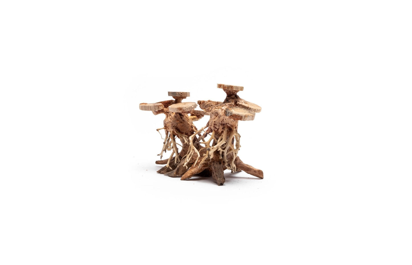 Double Bonsai Tree Aquarium Driftwood - Extra Small