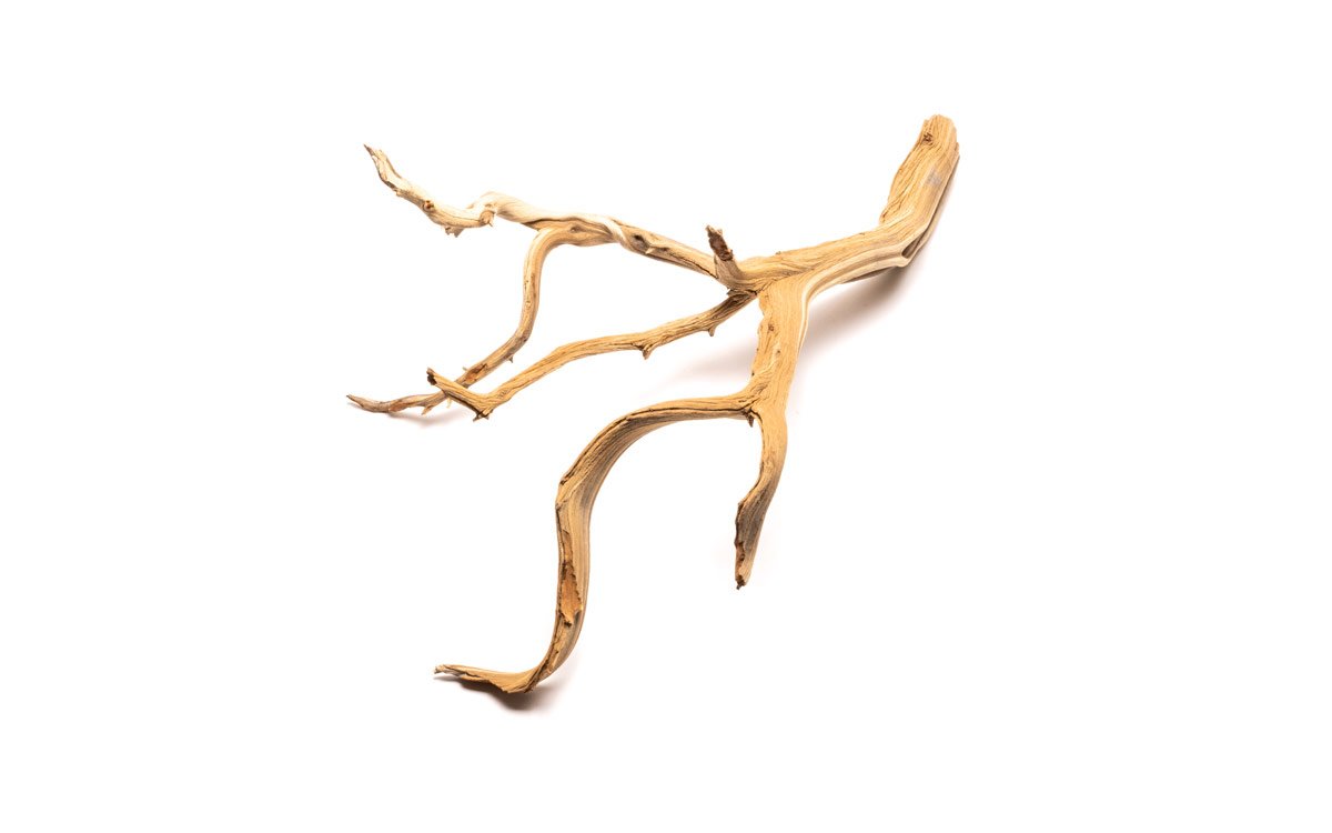 Ghost Wood
