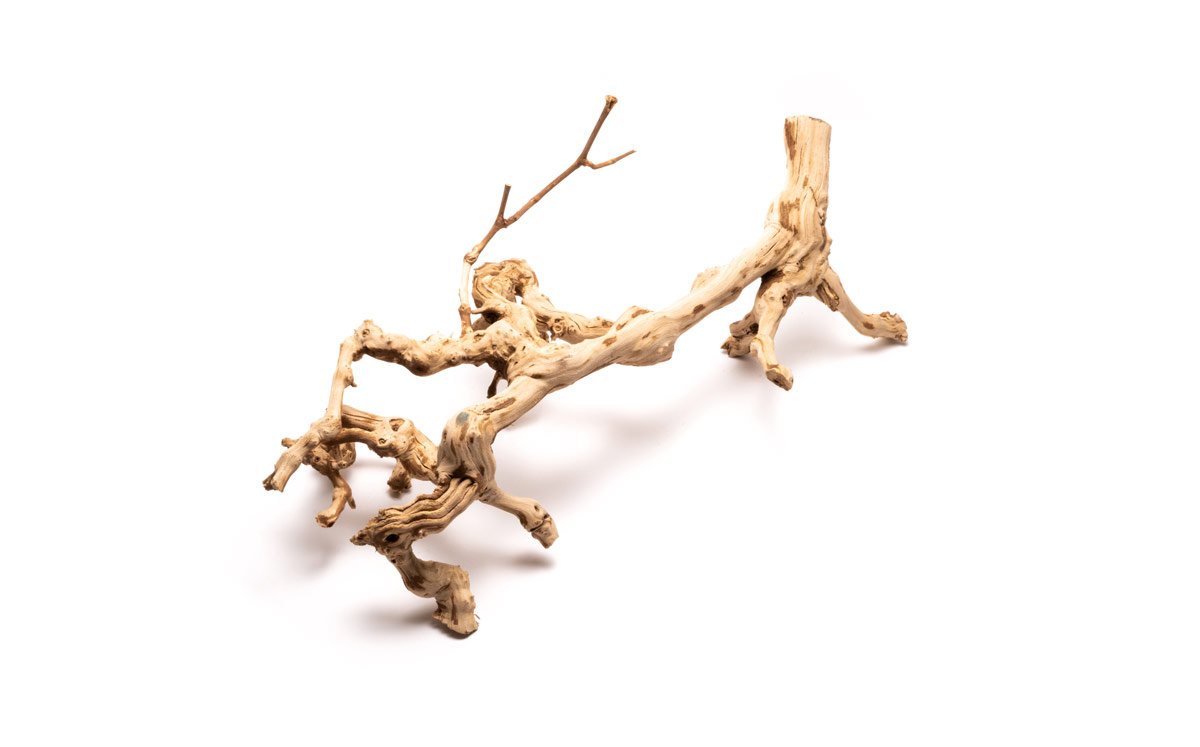 Grape Wood (Large) 20-28"