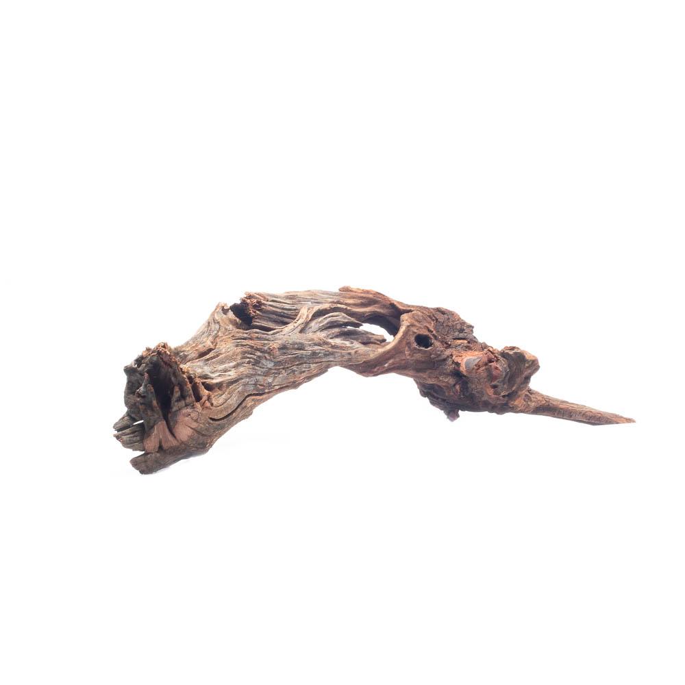 Malaysian Driftwood