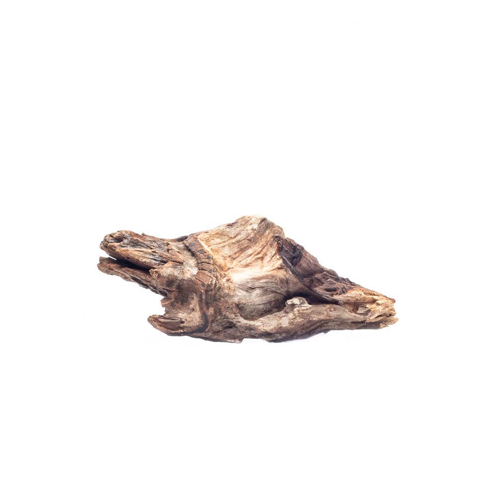 Malaysian Driftwood