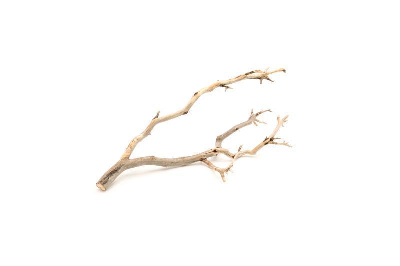 Manzanita Driftwood