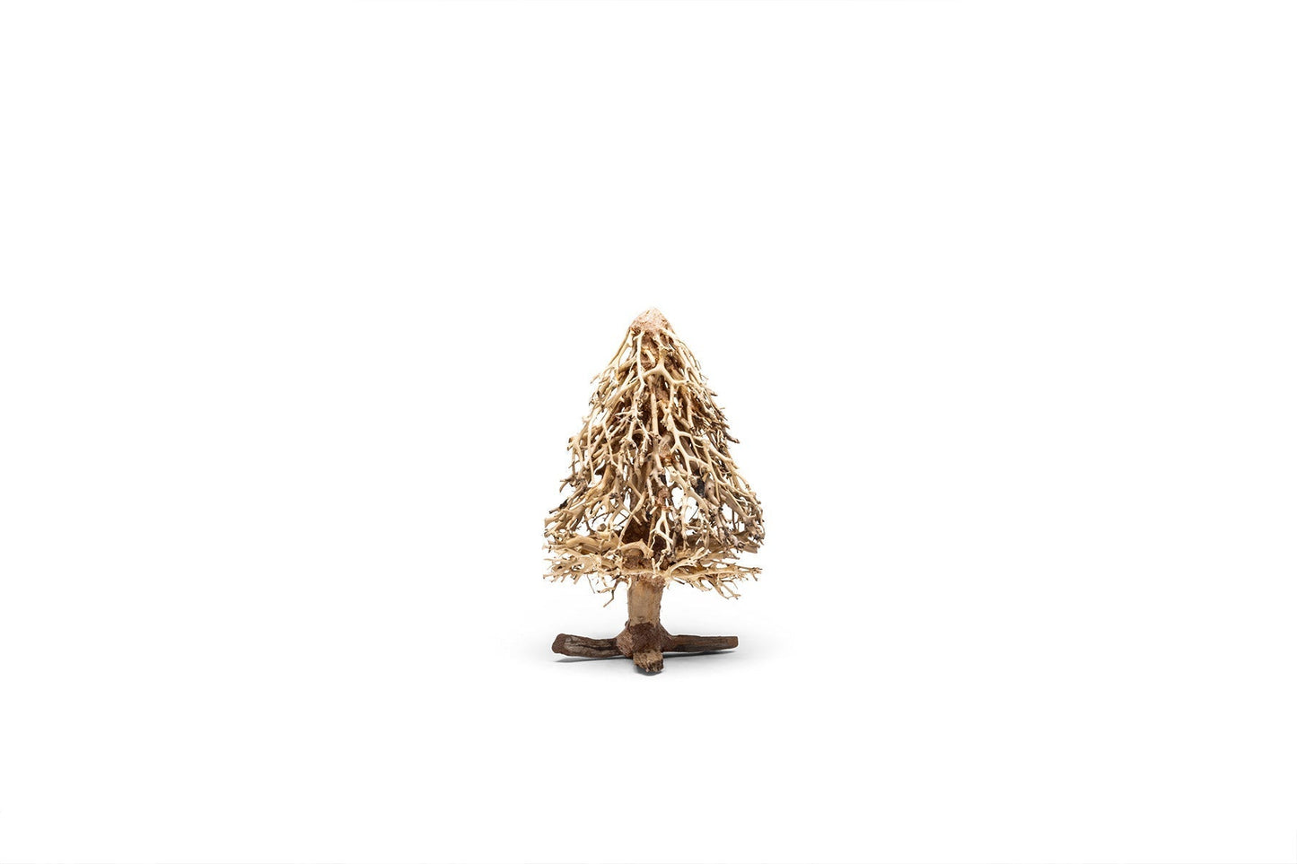 UNS Bonsai 009