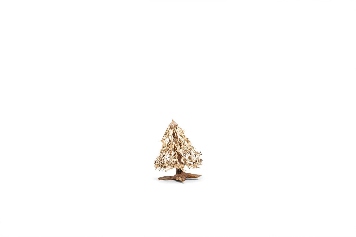 UNS Bonsai 009