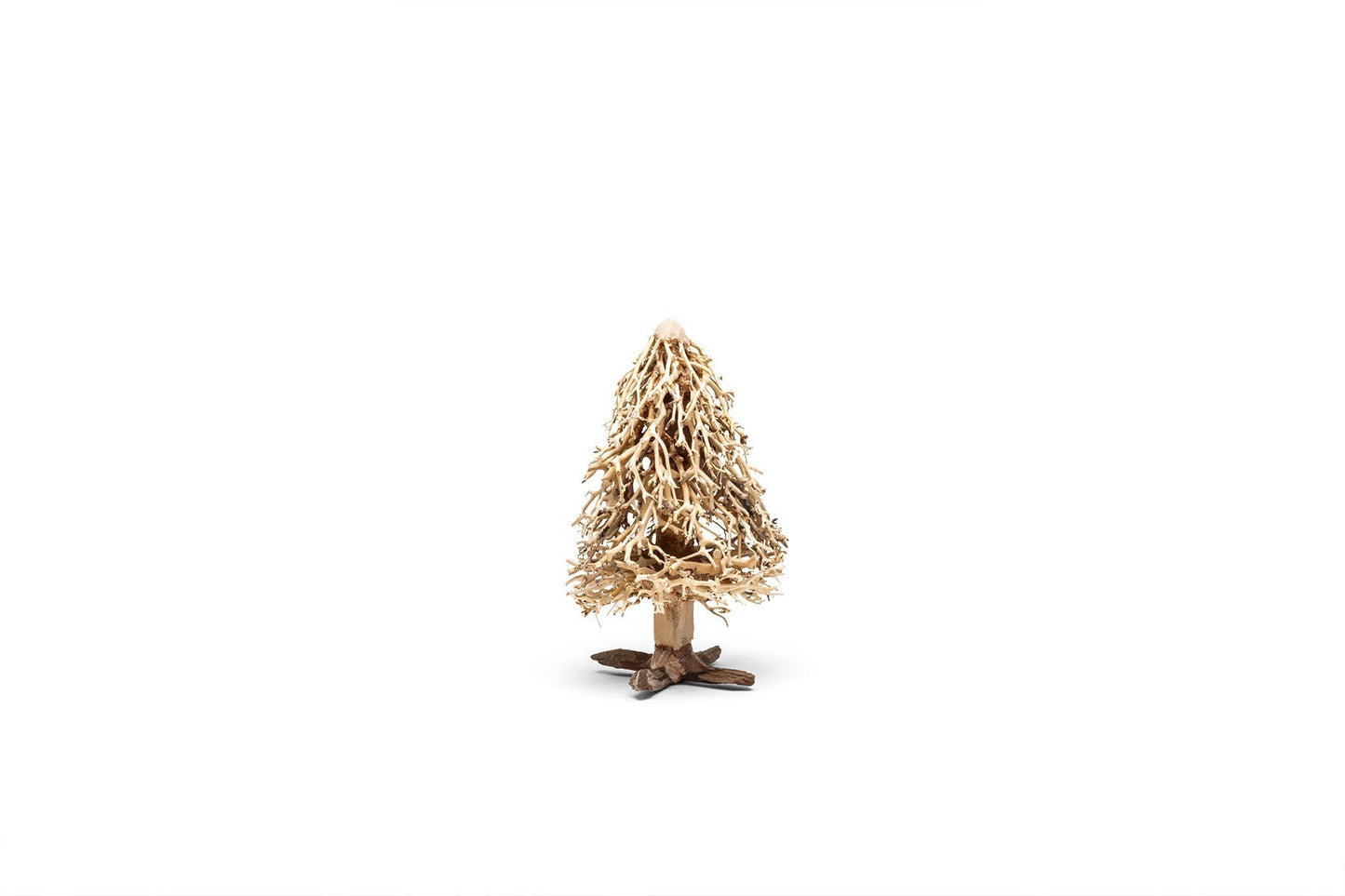 UNS Bonsai 009