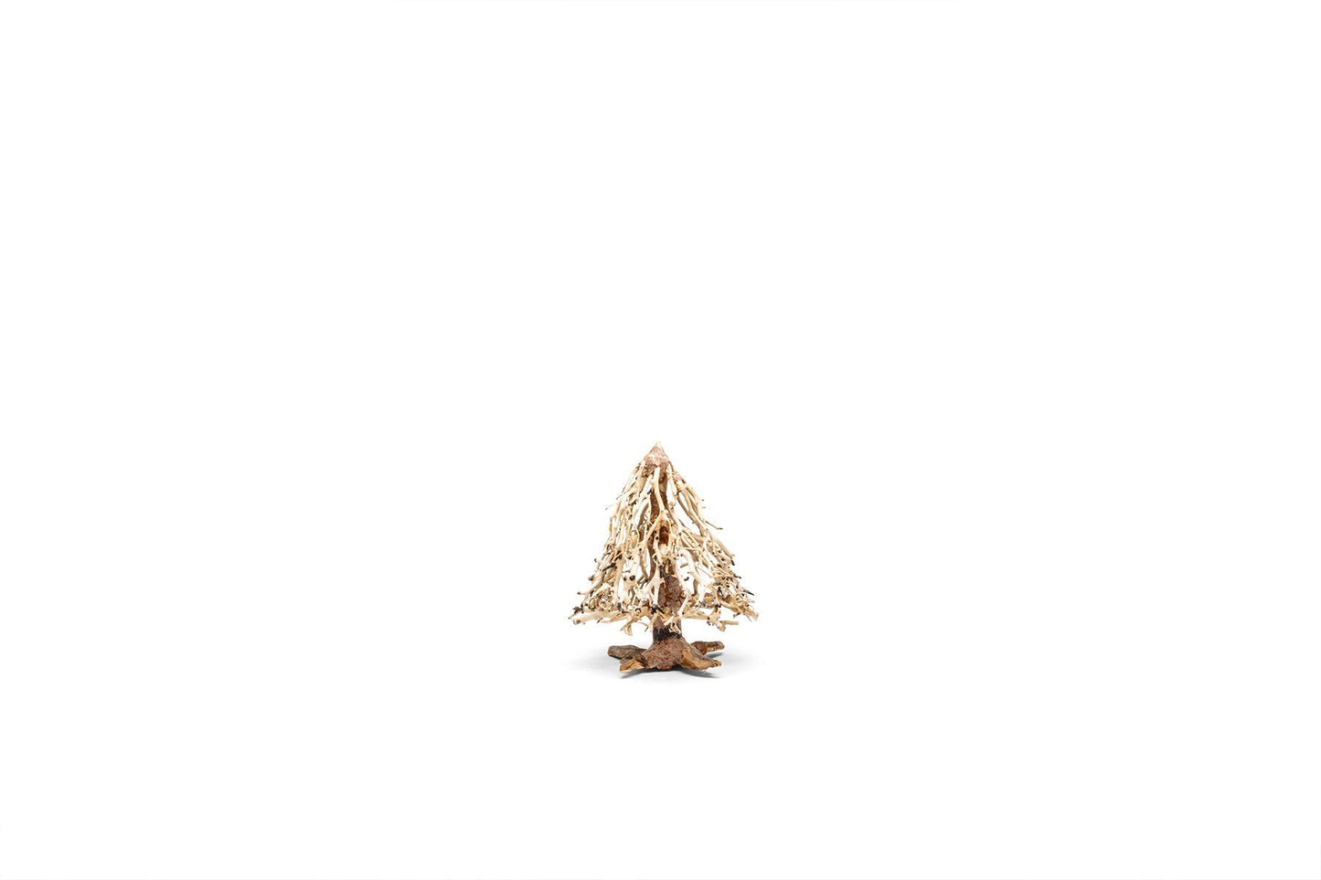 UNS Bonsai 009