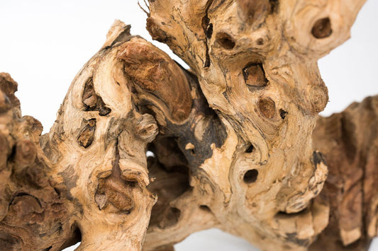 Amazon Wood