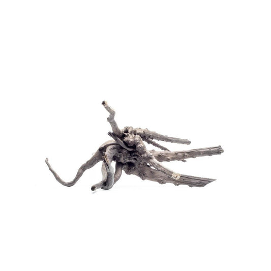 Black Forest Spiderwood