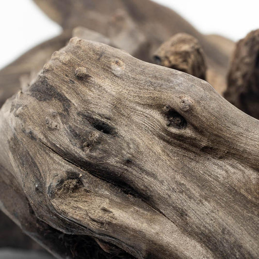 Black Forest Spiderwood