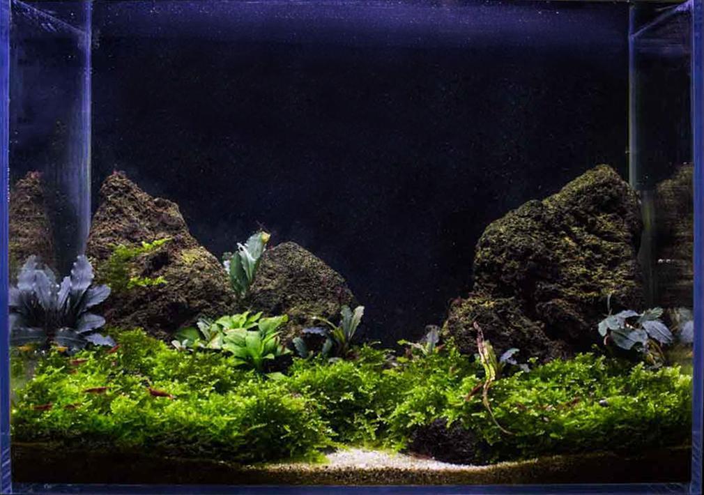 Black Lava Rock