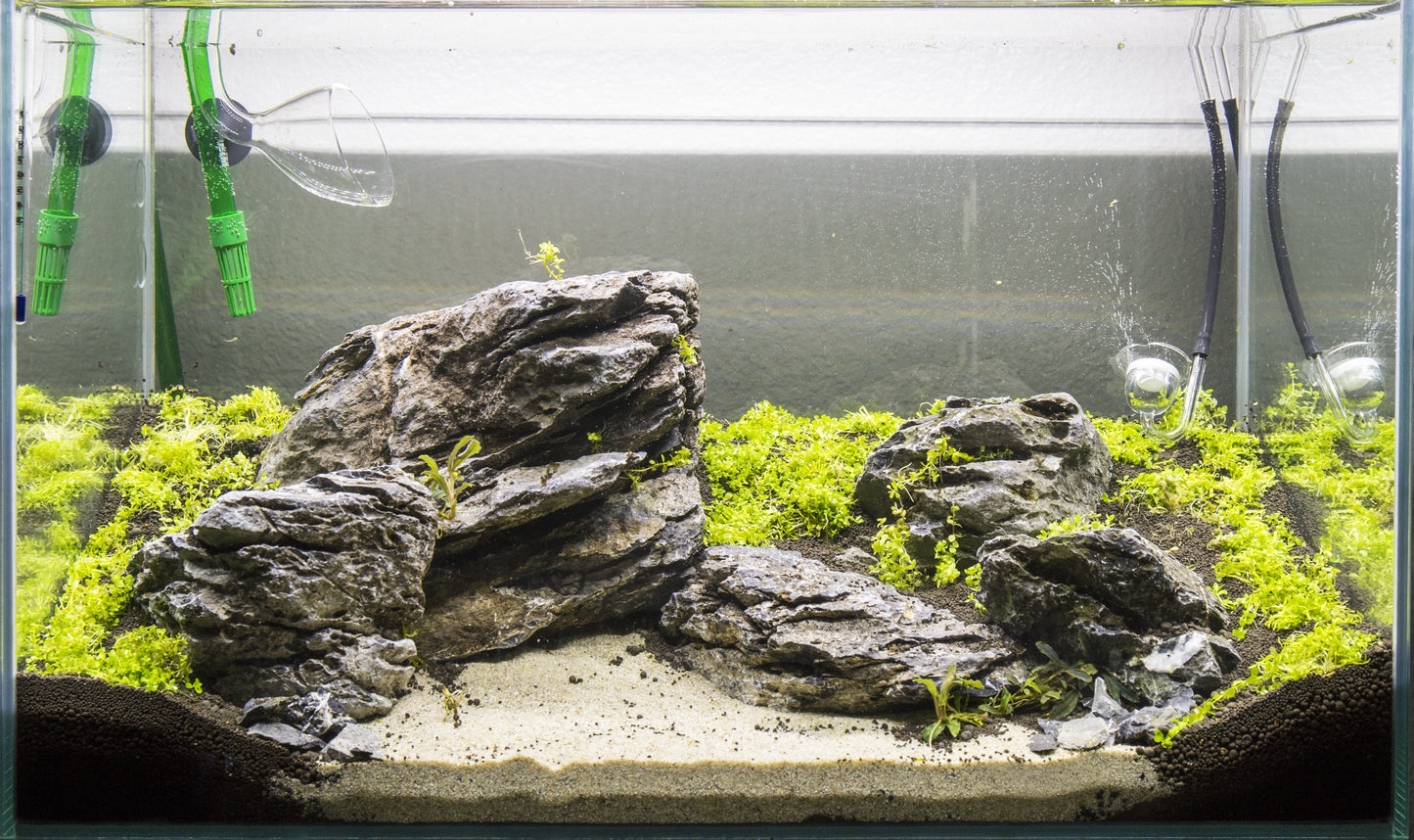 Boutique Seiryu Stone