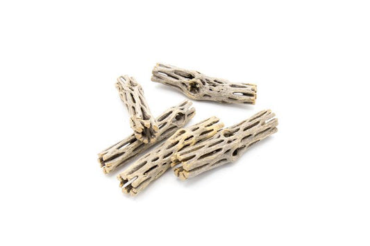 Cholla Driftwood Sticks