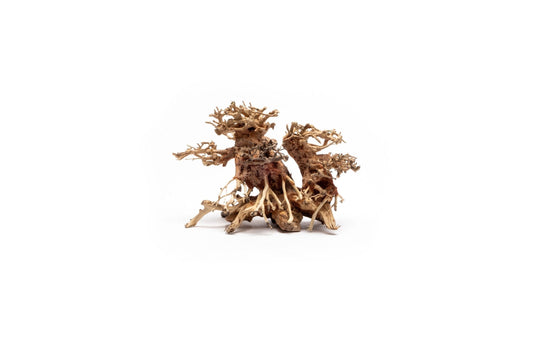 Double Bonsai Tree Aquarium Driftwood - Extra Small