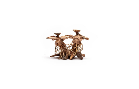 Double Bonsai Tree Aquarium Driftwood - Extra Small