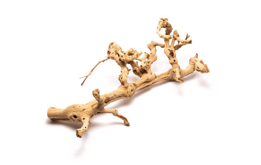 Grape Wood (Large) 20-28"