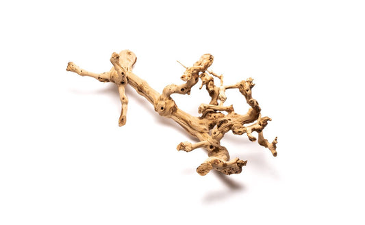 Grape Wood (Large) 20-28"