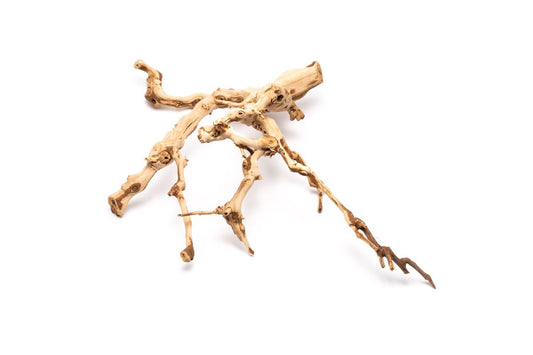 Grape Wood (Small) 8-14"
