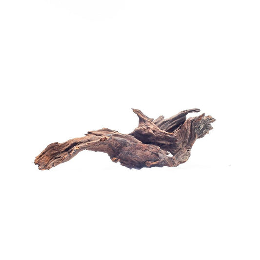 Malaysian Driftwood
