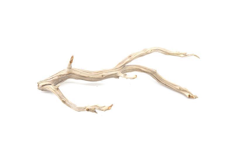 Manzanita Driftwood