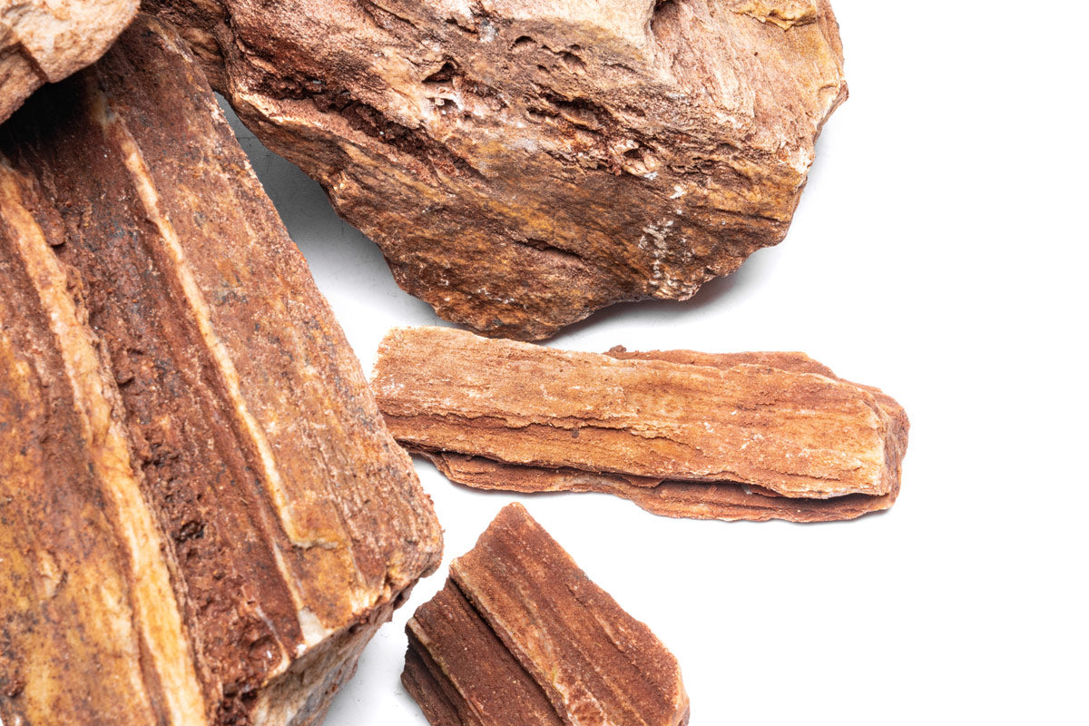 Red Petrified Wood