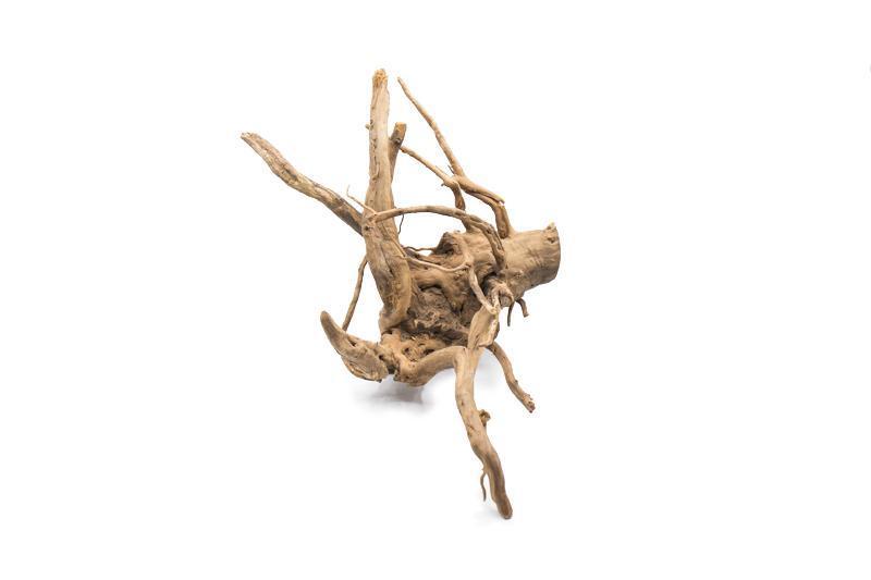 Spiderwood