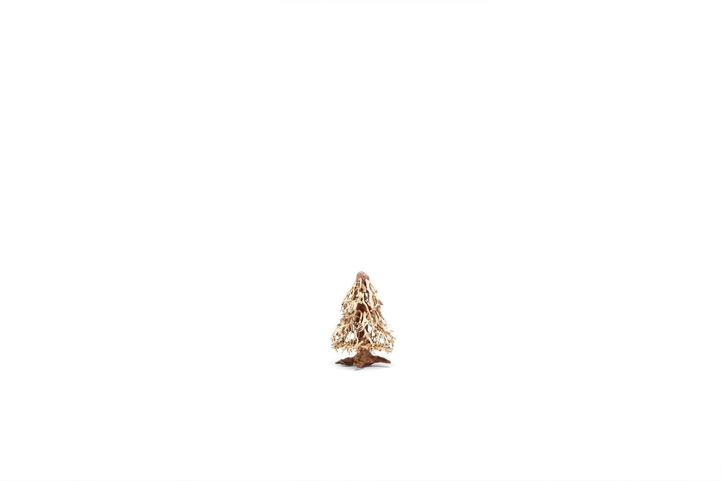 UNS Bonsai 009
