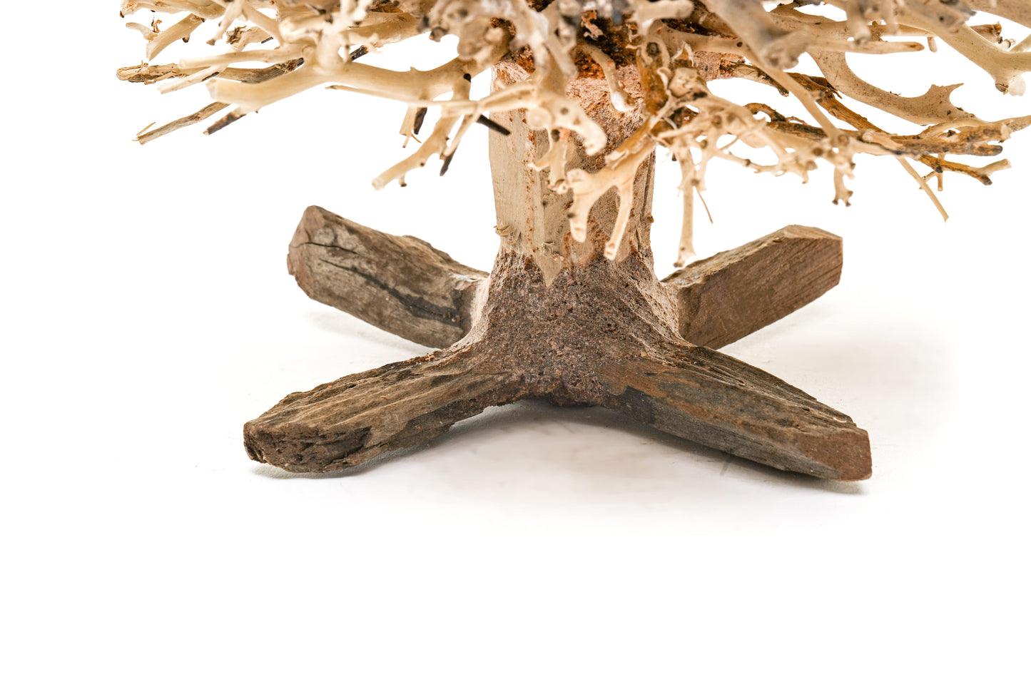 UNS Bonsai 009